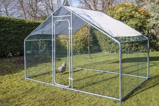 大型金属鶏小屋鶏小屋の散歩