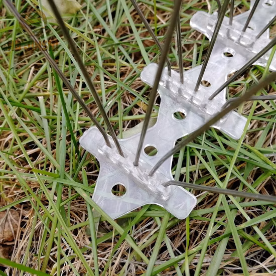 5 列の PC の地下室のステンレス鋼の害虫駆除の反鳥のスパイク