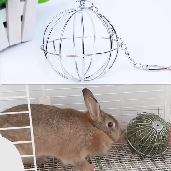 高品質のオウムステンレス鋼フードボウル水鳥用品